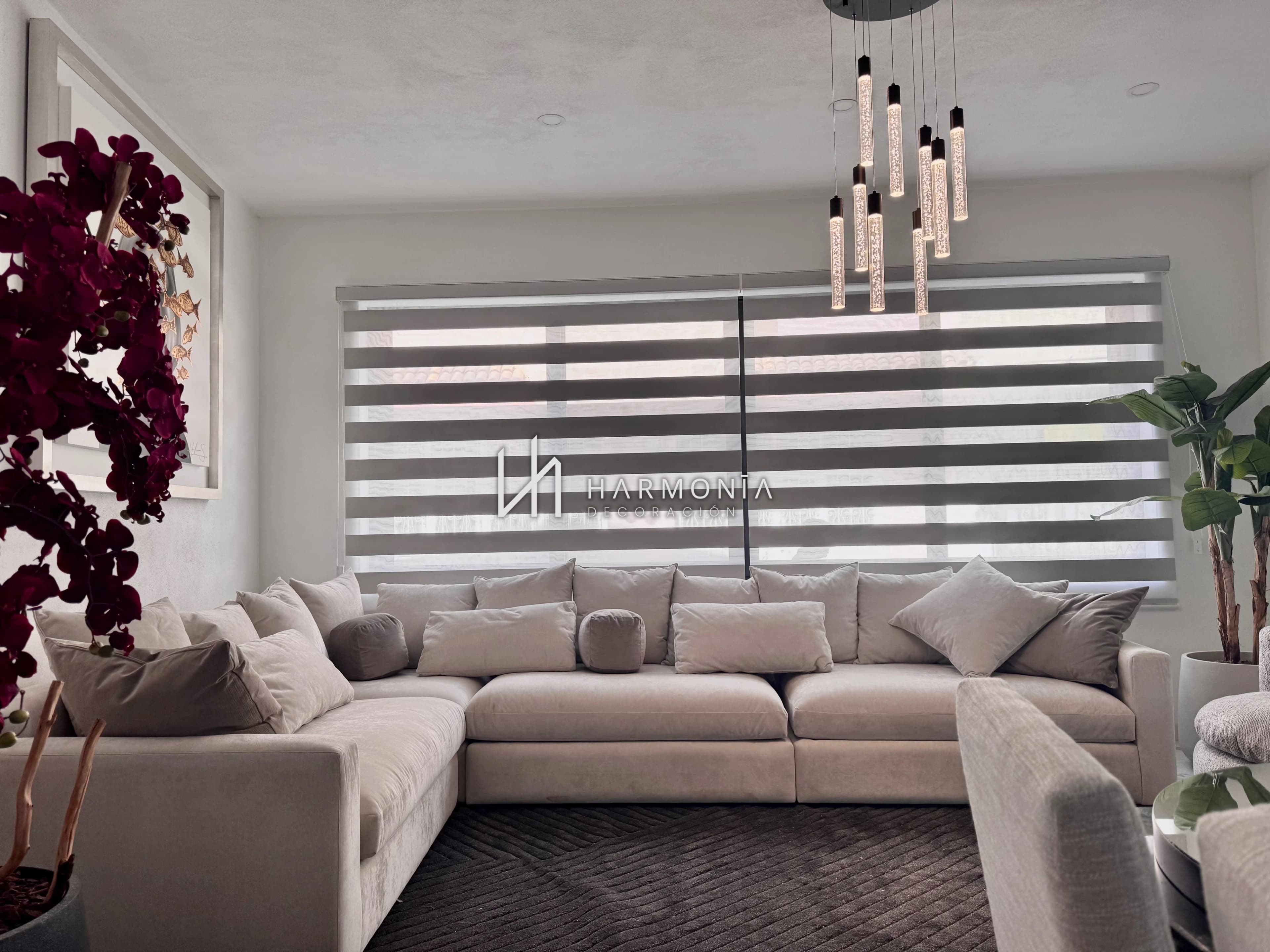 Sheer Elegance miniatura 3